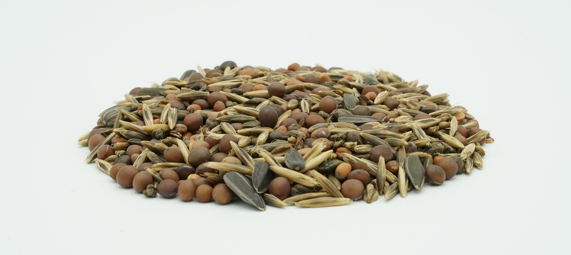 TerraLife® - Rigol DT-7