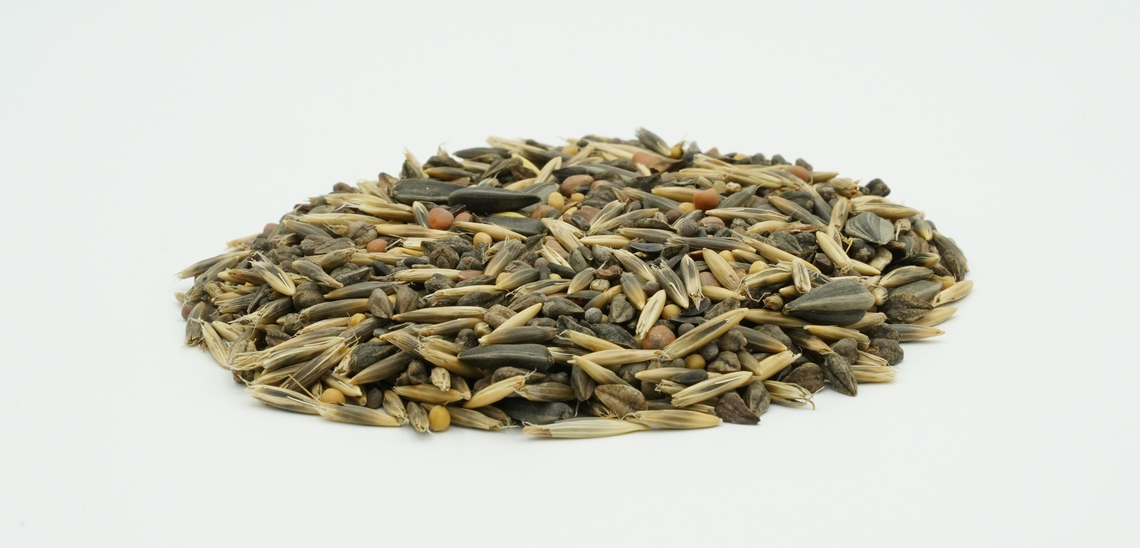 TerraLife® - VITAMAXX DT-7